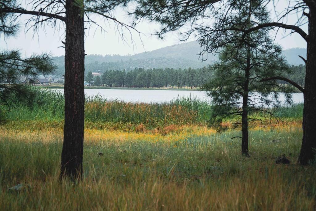 Walk To Gc Train Depot And Route 66, King Beds, Game Room, Bbq, Firepit Вільямс Екстер'єр фото